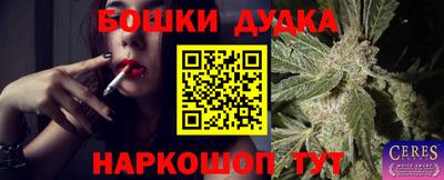 мдпв Кингисепп