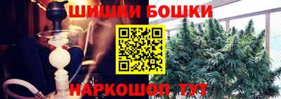 мдпв Кингисепп
