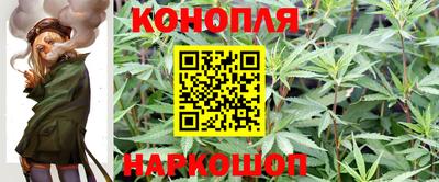 крисы Кимры