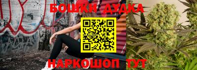 крисы Кимры