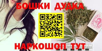 мдпв Кингисепп