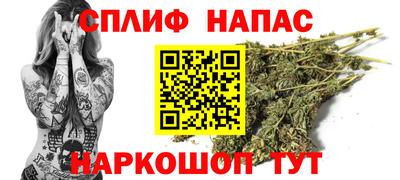 мдпв Кингисепп