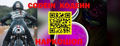 мдпв Кингисепп